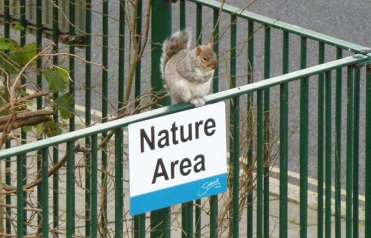 Photo from Debbie(1)